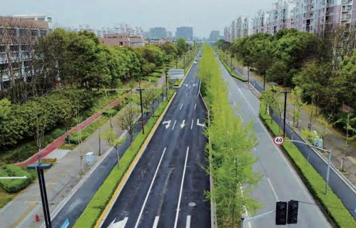 新增8條 閔行已成功創(chuàng)建33條 精品道路